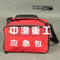 醫(yī)藥應急包